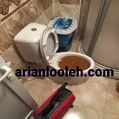 لوله بازکنی درختی کرج 