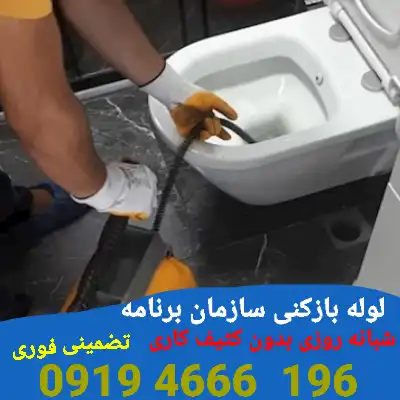 لوله بازکنی در سازمان برنامه
