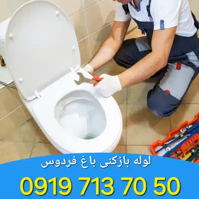 لوله بازکنی باغ فردوس 