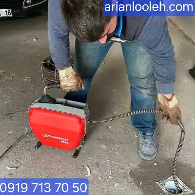 لوله بازکن شکوفه شمالی 