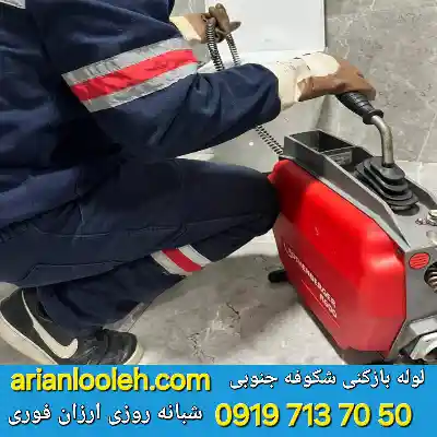 لوله بازکنی در شکوفه جنوبی 